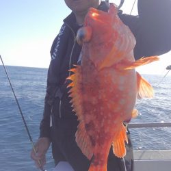 遊漁船 新鋭丸 釣果