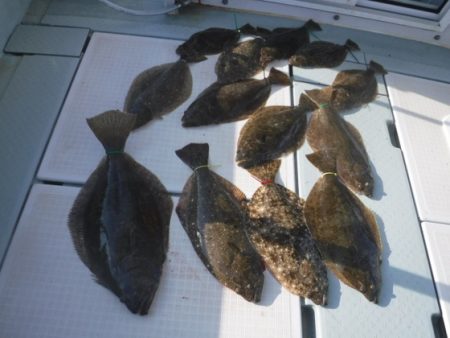 遊漁船 幸友丸 釣果