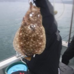 遊漁船 幸友丸 釣果