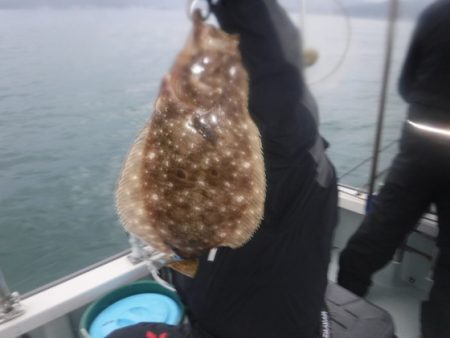 遊漁船 幸友丸 釣果