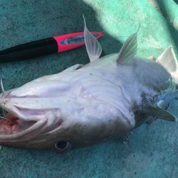 広進丸 釣果