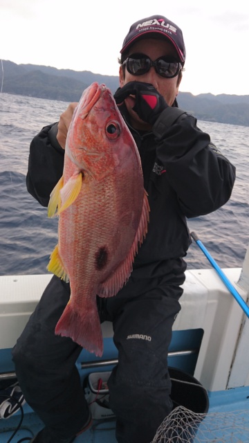 海晴丸 釣果