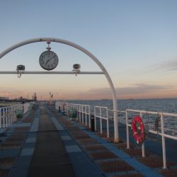 オリジナルメーカー海づり公園(市原市海づり施設) 釣果