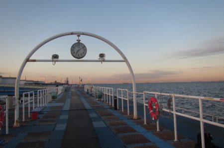 オリジナルメーカー海づり公園(市原市海づり施設) 釣果