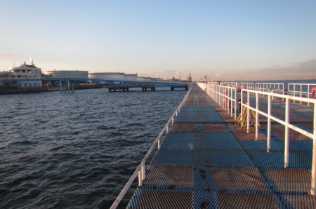 オリジナルメーカー海づり公園(市原市海づり施設) 釣果