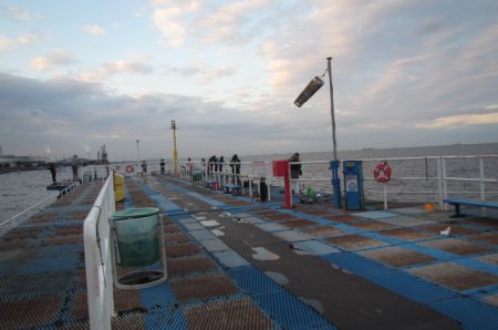 オリジナルメーカー海づり公園(市原市海づり施設) 釣果