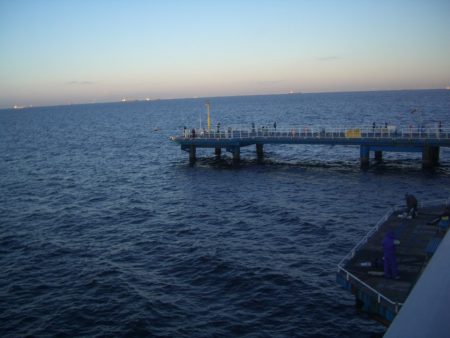 オリジナルメーカー海づり公園(市原市海づり施設) 釣果