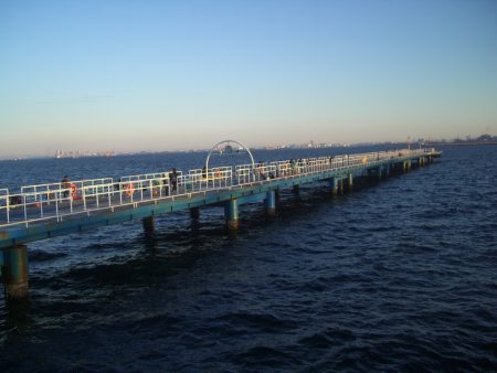 オリジナルメーカー海づり公園(市原市海づり施設) 釣果