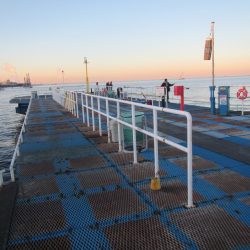 オリジナルメーカー海づり公園(市原市海づり施設) 釣果