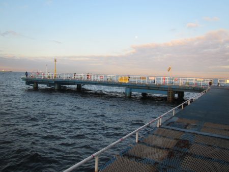 オリジナルメーカー海づり公園(市原市海づり施設) 釣果