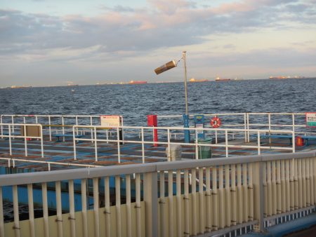 オリジナルメーカー海づり公園(市原市海づり施設) 釣果