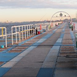 オリジナルメーカー海づり公園(市原市海づり施設) 釣果