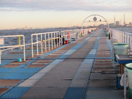 オリジナルメーカー海づり公園(市原市海づり施設) 釣果
