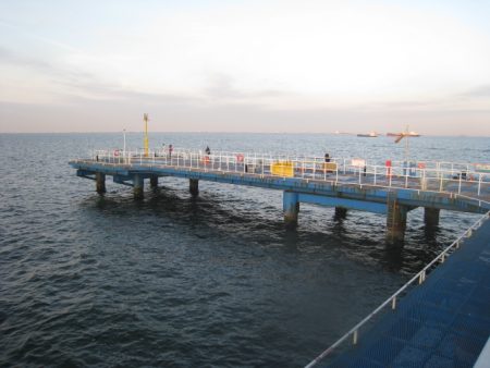 オリジナルメーカー海づり公園(市原市海づり施設) 釣果