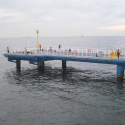 オリジナルメーカー海づり公園(市原市海づり施設) 釣果