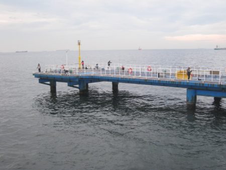 オリジナルメーカー海づり公園(市原市海づり施設) 釣果