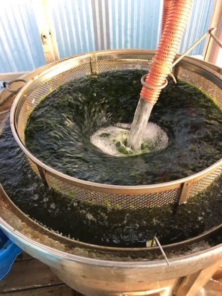 へいみつ丸 釣果