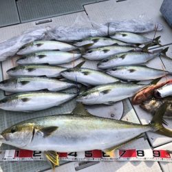 ふじしめ丸 釣果