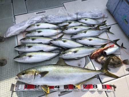 ふじしめ丸 釣果