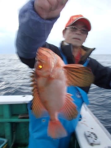 第二むつ漁丸 釣果