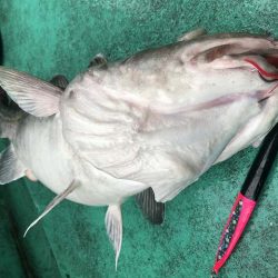 広進丸 釣果