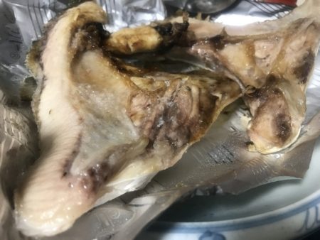 寿裕 (YOSHIHIRO) 釣果