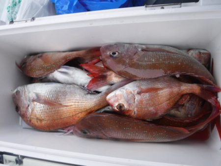 遊漁船 幸友丸 釣果