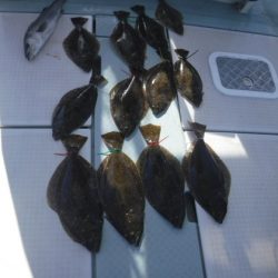 遊漁船 幸友丸 釣果