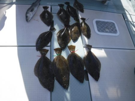 遊漁船 幸友丸 釣果