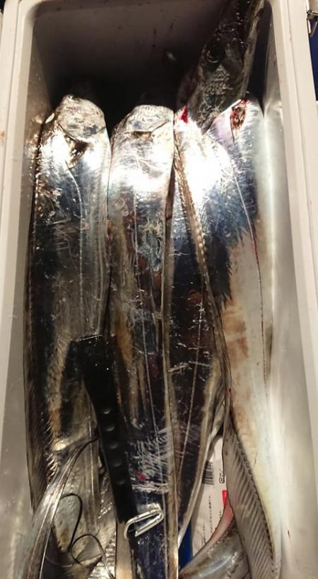 スカイマリン 釣果