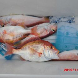 大進丸（新潟） 釣果