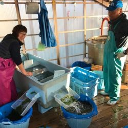 へいみつ丸 釣果