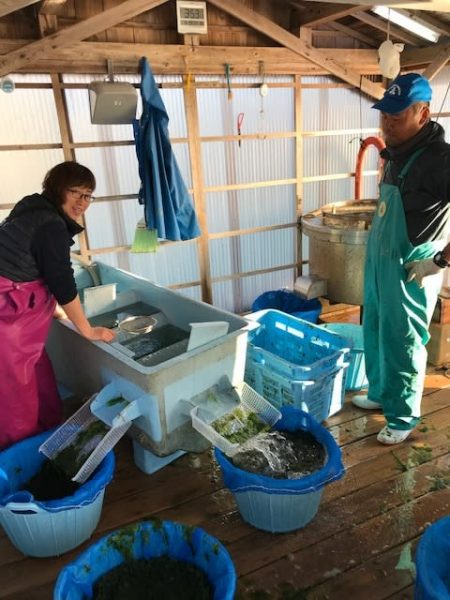 へいみつ丸 釣果