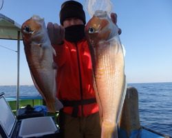 久里浜黒川本家 釣果