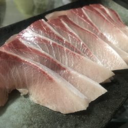 寿裕 (YOSHIHIRO) 釣果