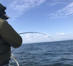 白墨丸 釣果