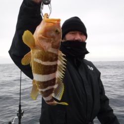 ＢｌｕｅＮｏｔｅ　Ｆｉｓｈｉｎｇ　Ｔａｘｉ 釣果