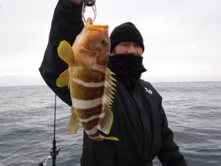 ＢｌｕｅＮｏｔｅ　Ｆｉｓｈｉｎｇ　Ｔａｘｉ 釣果