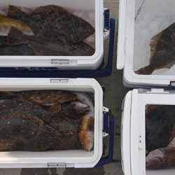 気仙沼　つり丸 釣果