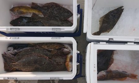 気仙沼　つり丸 釣果