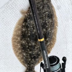 Magic(マジック) 釣果