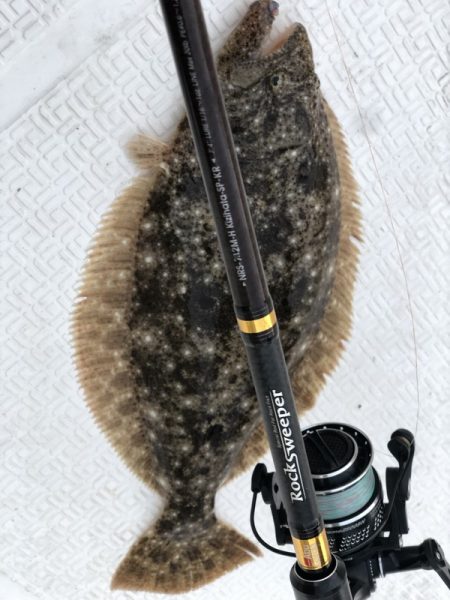 Magic(マジック) 釣果