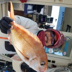 遊漁船 ニライカナイ 釣果