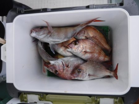 遊漁船 幸友丸 釣果