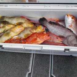 第二大福丸 釣果