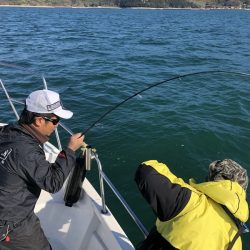 Magic(マジック) 釣果