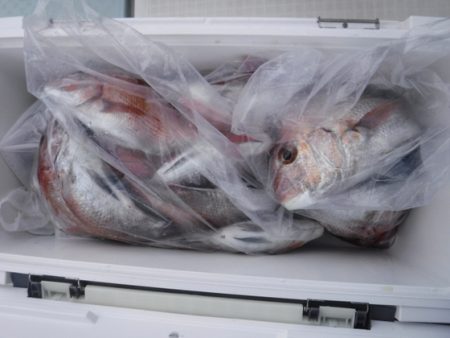 遊漁船 幸友丸 釣果