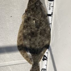 Magic(マジック) 釣果