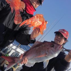 遊漁船 新鋭丸 釣果