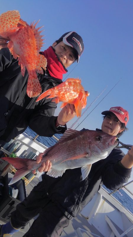 遊漁船 新鋭丸 釣果